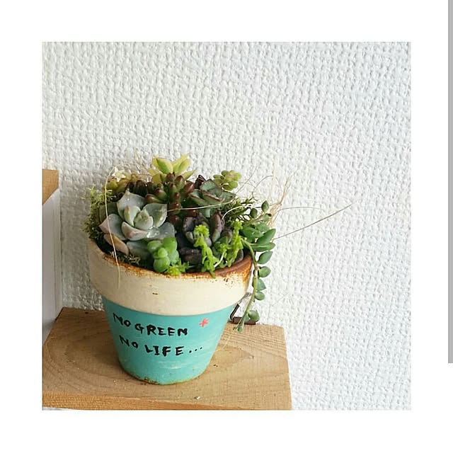 manaさんの実例写真