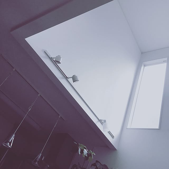 megさんの実例写真