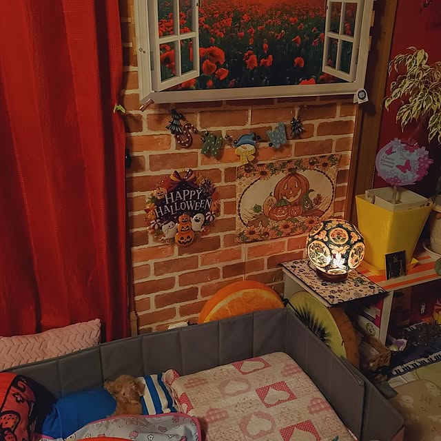kumutanさんの部屋