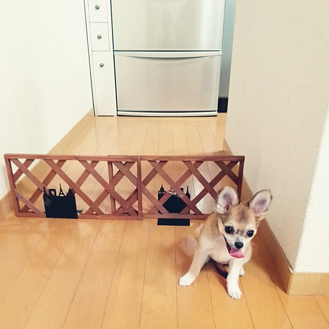 nattimomoさんの実例写真