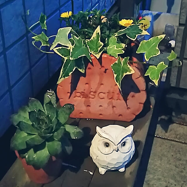 Ri-さんの実例写真