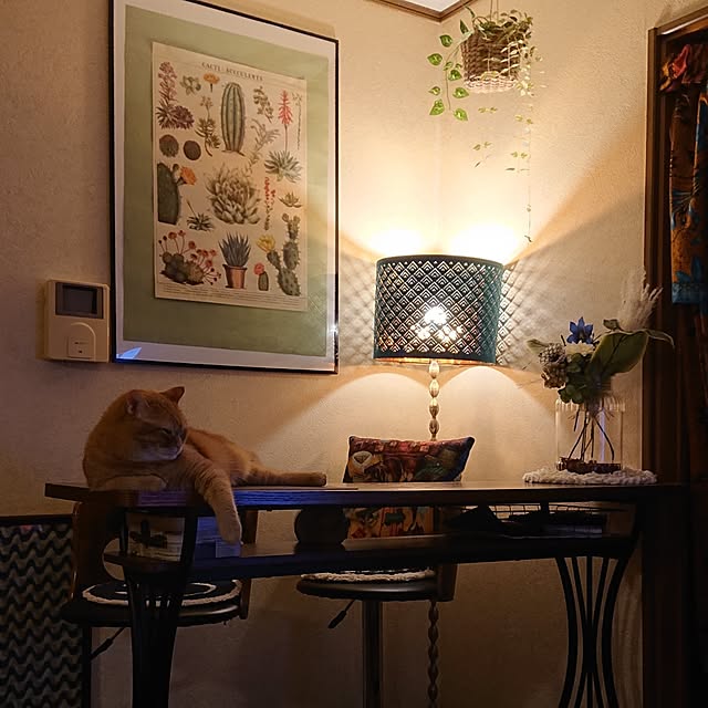 CHIKAさんの部屋
