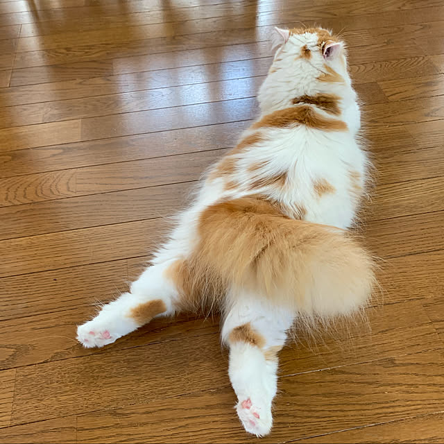 keiさんの実例写真