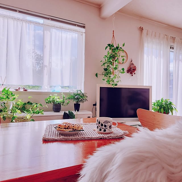 surviveさんの実例写真