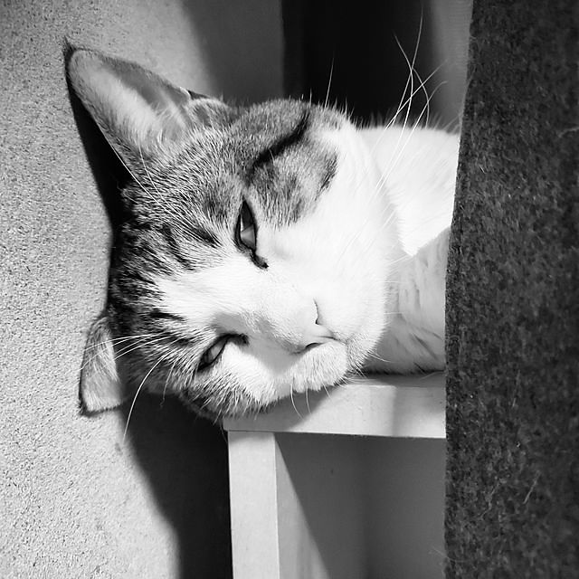 danieruさんの実例写真