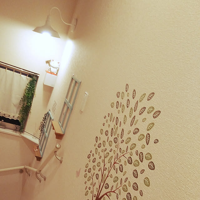kazuさんの実例写真