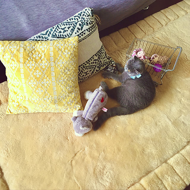 kittyさんの実例写真