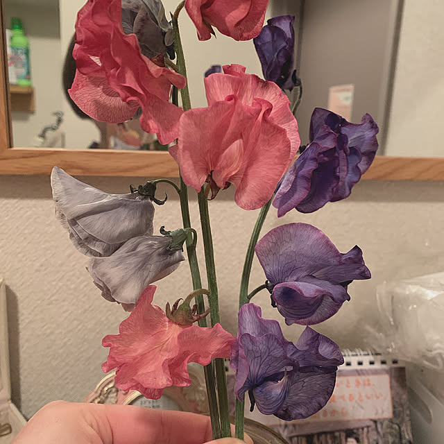 ouchimemoさんの実例写真