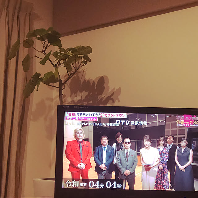 Pisaさんの実例写真