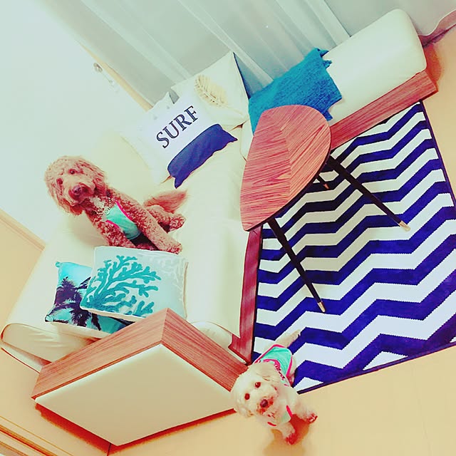 mk_skavさんの実例写真