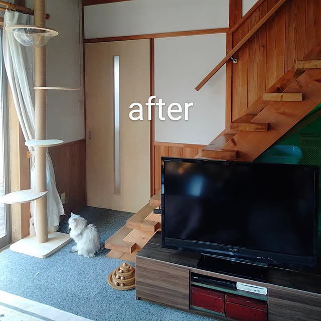 makaronさんの実例写真
