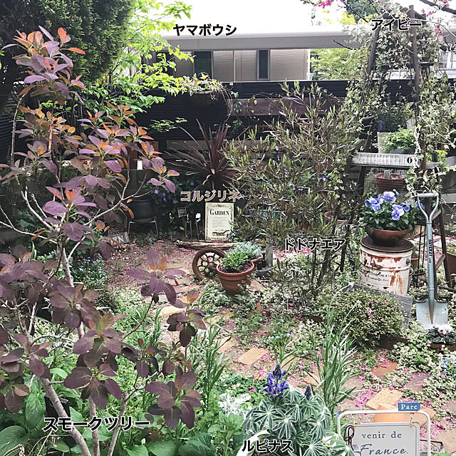 bibianさんの実例写真