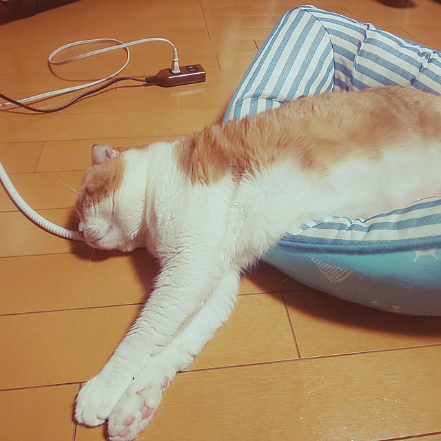 0617さんの実例写真