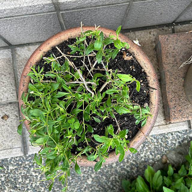 ritsukoさんの部屋