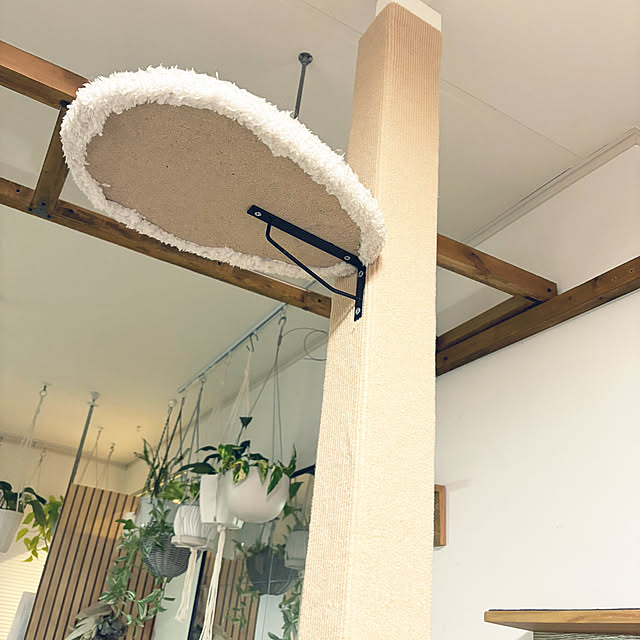 masamasaさんの部屋