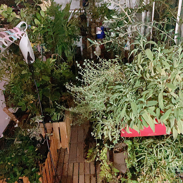 rainmanさんの部屋