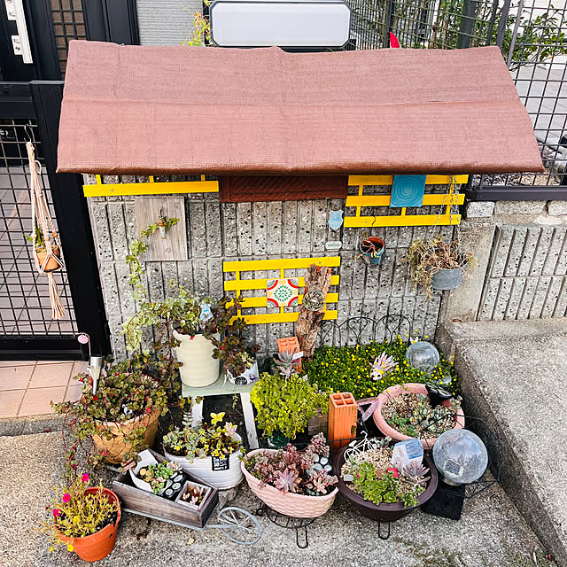 jijiさんの部屋