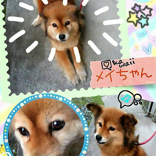 roseさんの実例写真