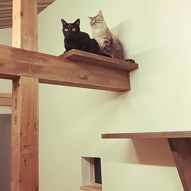 chiiさんの実例写真