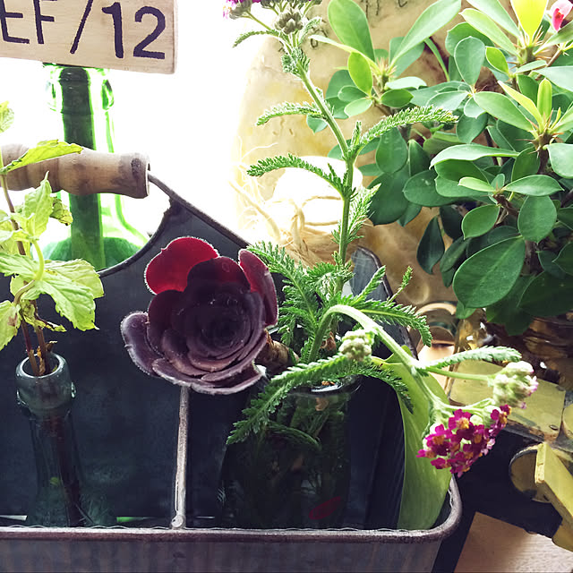 tudukiさんの実例写真