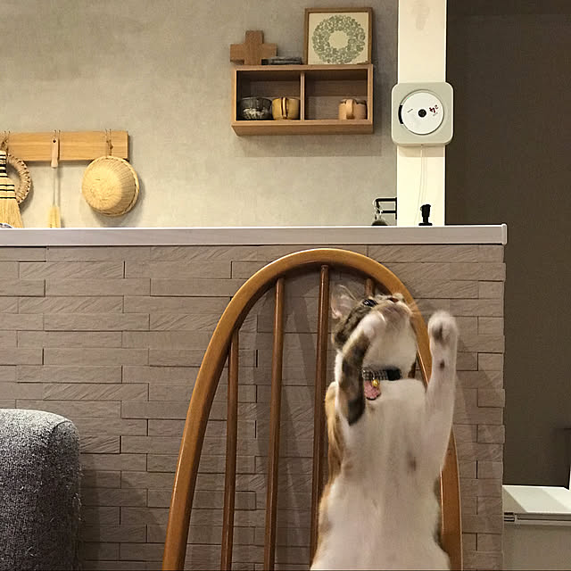 famiさんの実例写真