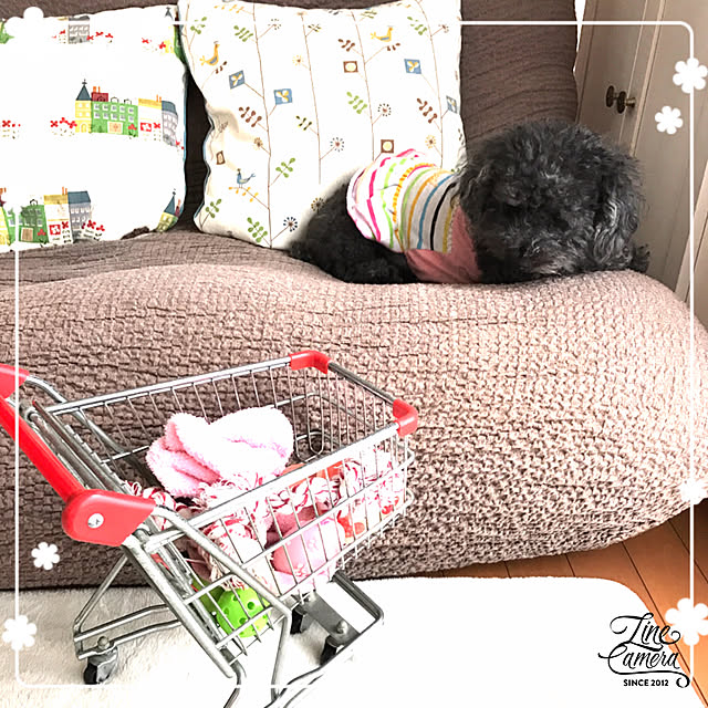 makkoさんの実例写真