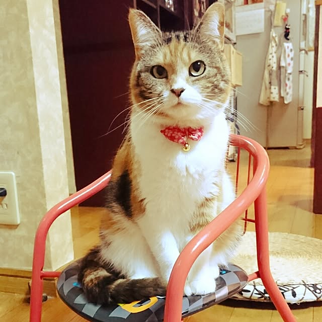 yukieさんの実例写真