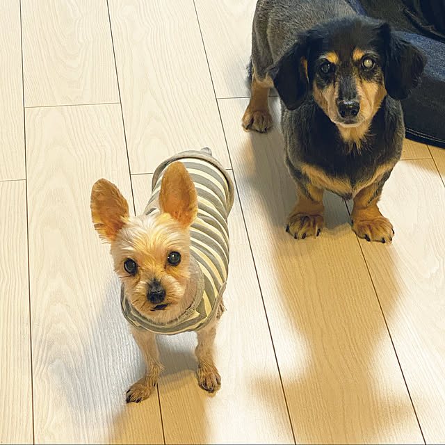 ohanaさんの実例写真