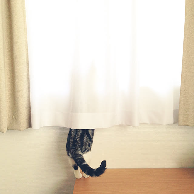 RIKAYURAさんの実例写真
