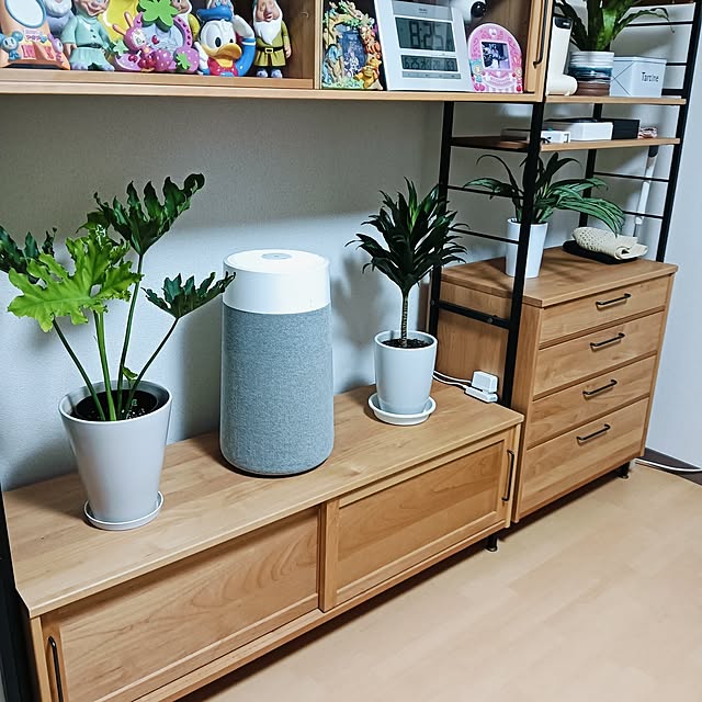 hanachanさんの部屋