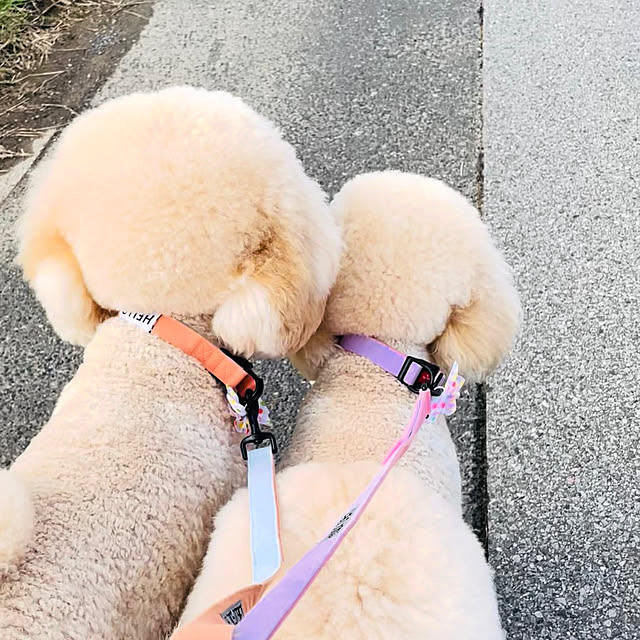 nackeyさんの部屋