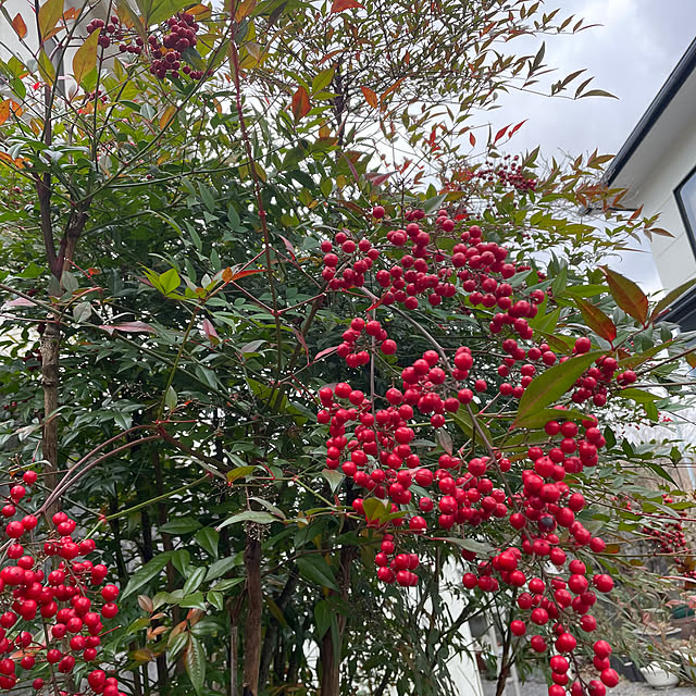 natsumiさんの部屋