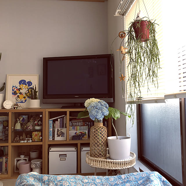 kotahiguさんの実例写真