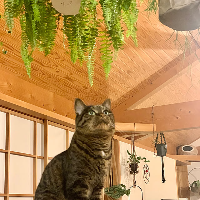 onsix777さんの実例写真
