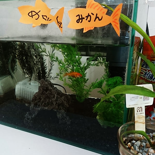 aiさんの実例写真