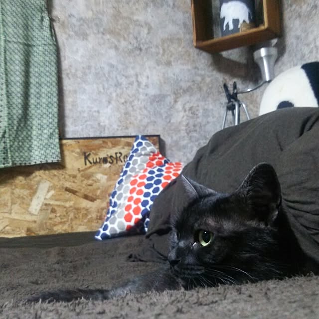 kuroさんの実例写真