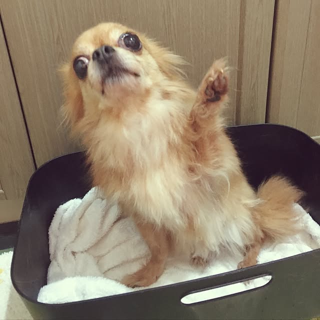 Yuiriさんの実例写真