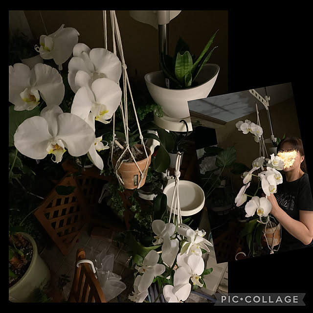 Aqettyさんの部屋