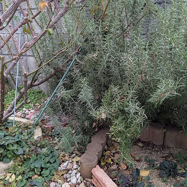 machikomamaさんの部屋