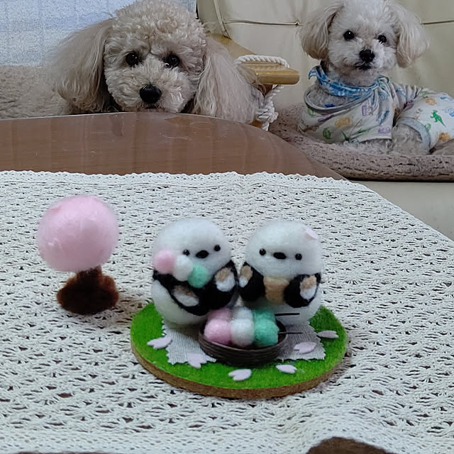 yumirinさんの実例写真