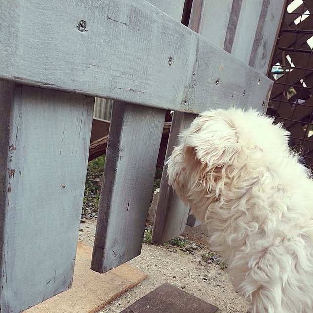 nuiさんの実例写真