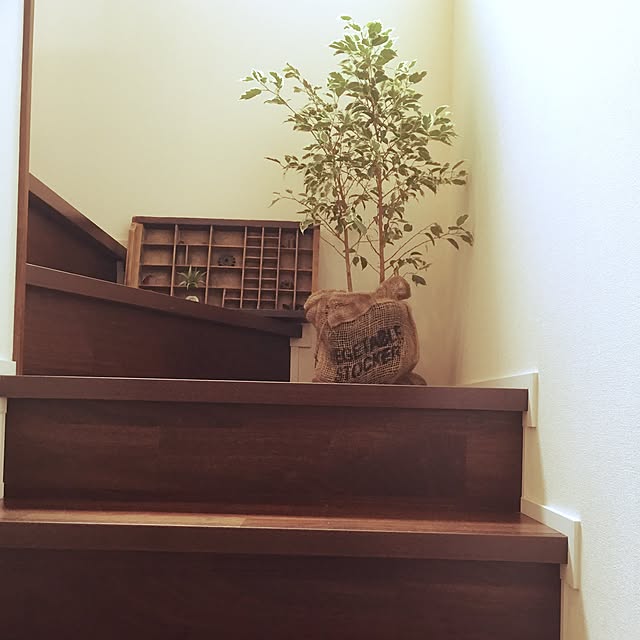 kimieさんの実例写真