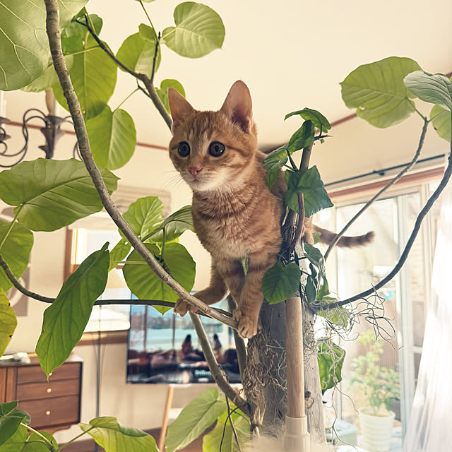 67さんの部屋