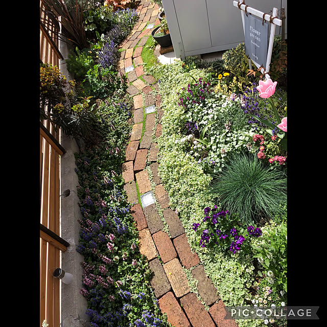 kyoko1124koさんの実例写真