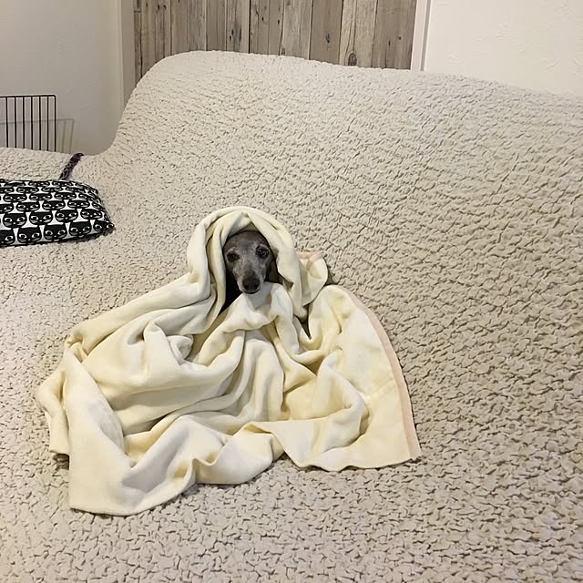 sayumamaさんの実例写真