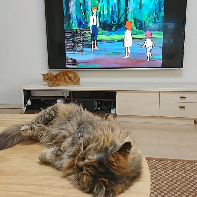 nekomajinさんの実例写真