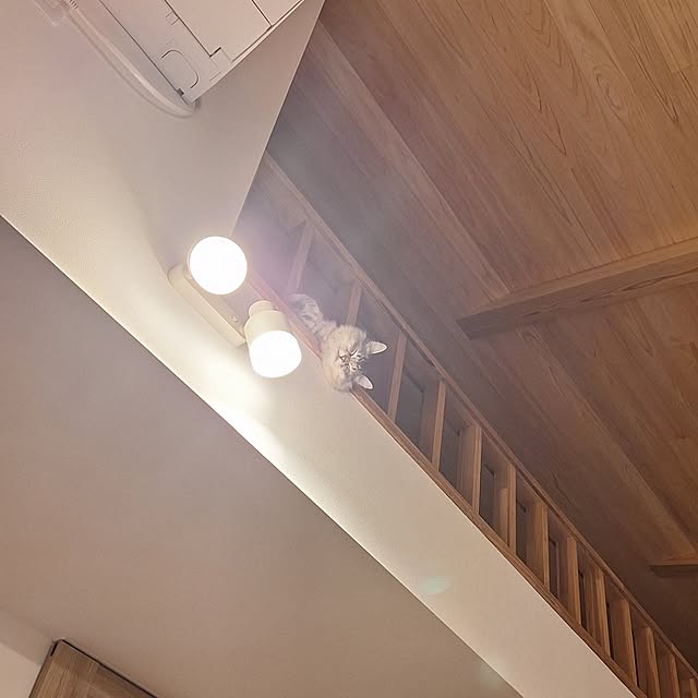 toramonaさんの部屋