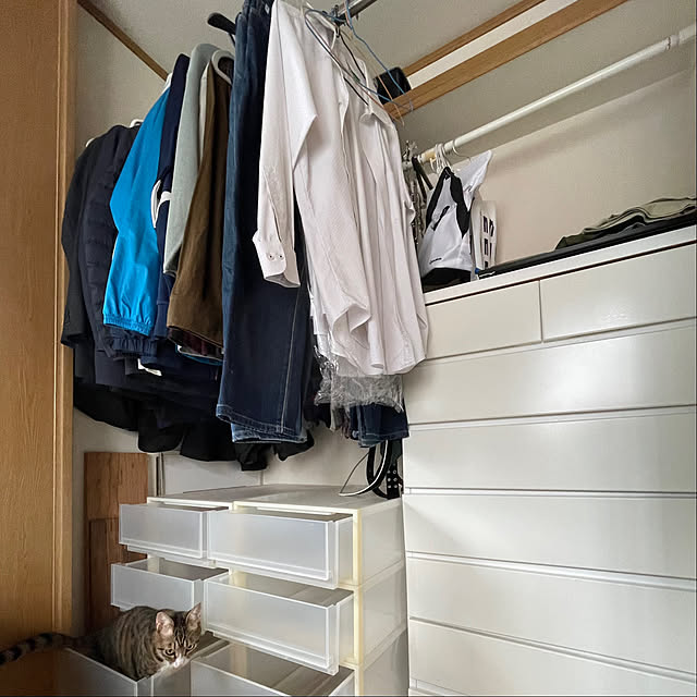nobikoさんの部屋