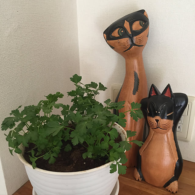 guiさんの実例写真