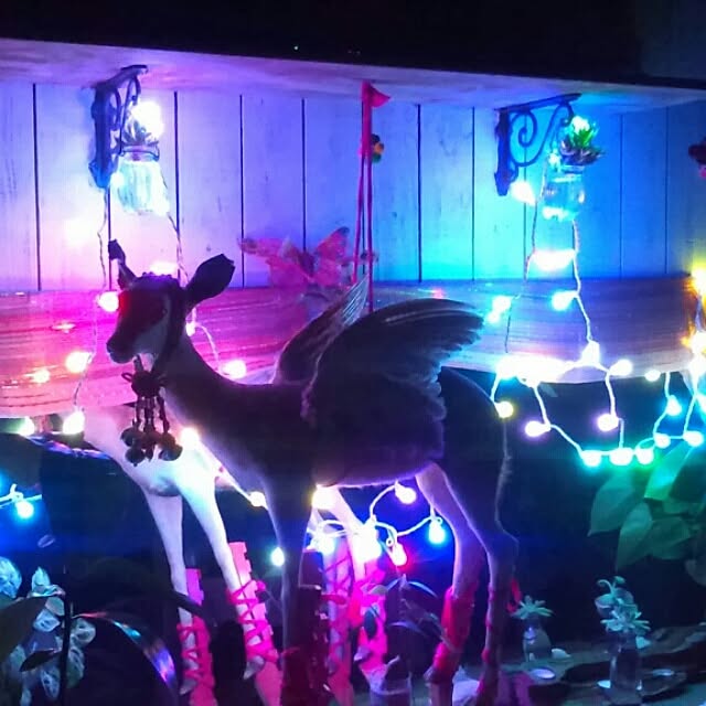 musinosekaiさんの実例写真